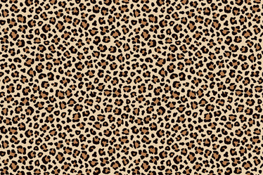 Similar image 21241637