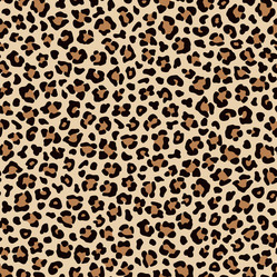 Similar image 21241638