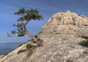 Similar image 21241013