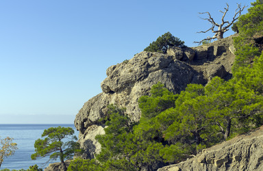 Similar image 21241015