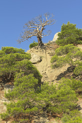 Similar image 21241016