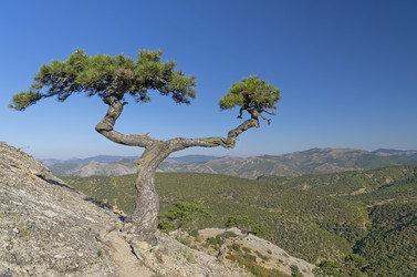 Similar image 21241017