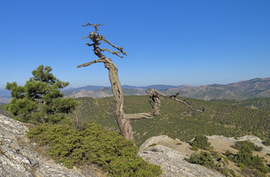 Similar image 21241019