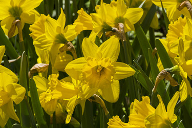 Similar image 21241021