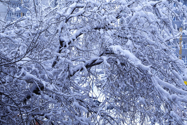 Similar image 21241035