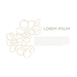 Similar image 21241731