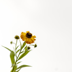 Similar image 21241072