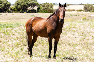 Similar image 21241076