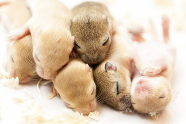 Similar image 21241084