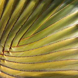 Similar image 21241088