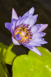 Similar image 21241089