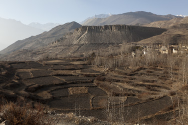 Similar image 21241102