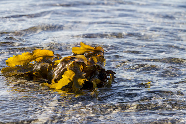 Similar image 21241104