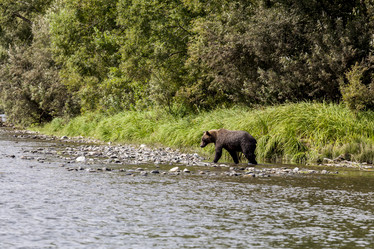 Similar image 21241106