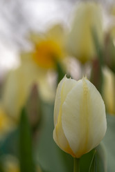 Similar image 21241134