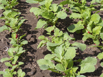 Similar image 21241140