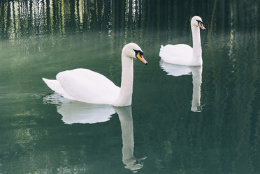 Similar image 21255195