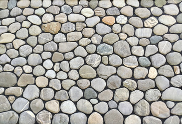 Similar image 21255196