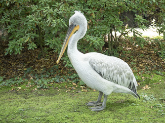 Similar image 21249641