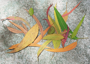 Similar image 21249642