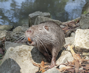 Similar image 21249647