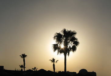 Similar image 21241040