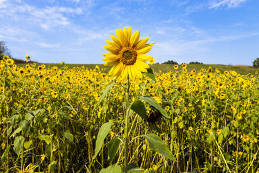 Similar image 21249534