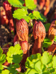 Similar image 21241145