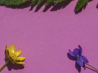 Similar image 21241147