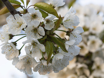 Similar image 21241149