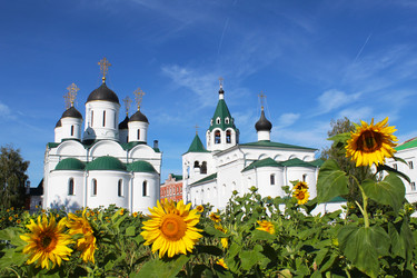 Similar image 21244396