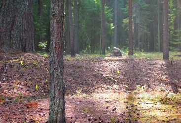 Similar image 21243369