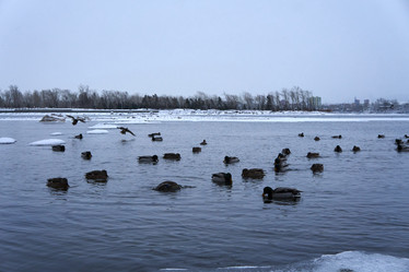 Similar image 21243462