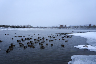 Similar image 21243463