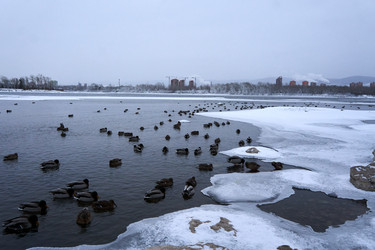 Similar image 21243464