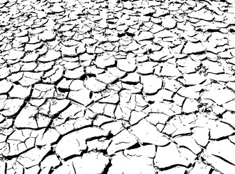 Similar image 21243334