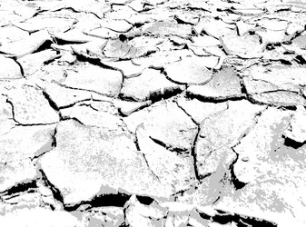 Similar image 21243337