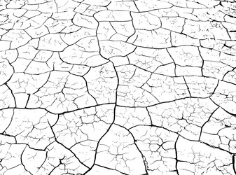 Similar image 21243339