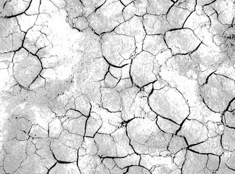 Similar image 21243345