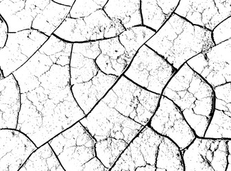 Similar image 21243371