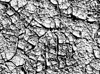 Similar image 21243372