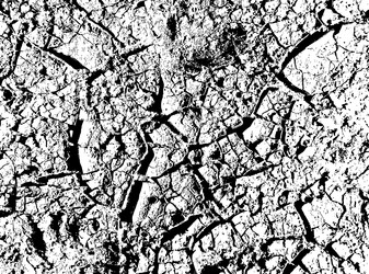 Similar image 21243374