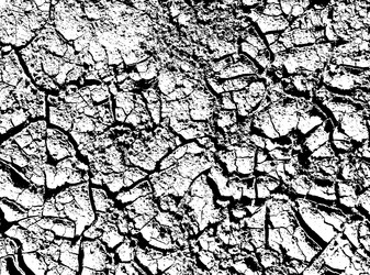 Similar image 21243378