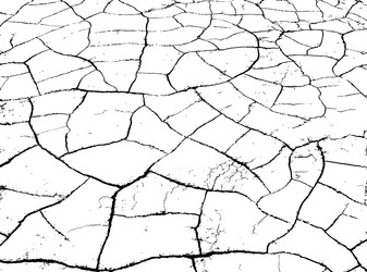 Similar image 21243347