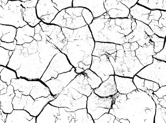 Similar image 21243348