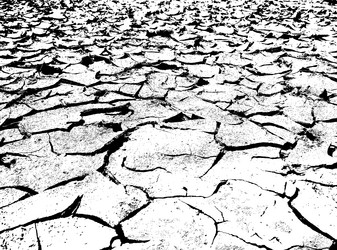 Similar image 21243349