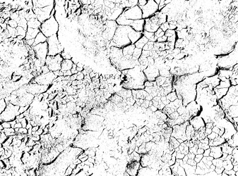 Similar image 21243351