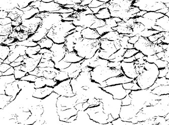 Similar image 21243357