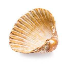 Similar image 21244660