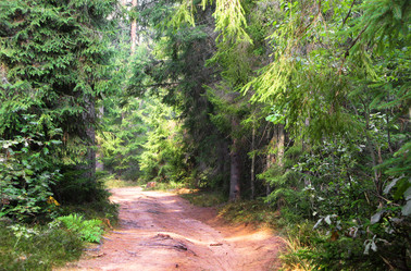 Similar image 21244484